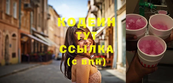 СК Кодинск