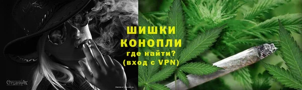 СК Кодинск