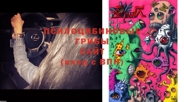 мяу мяу мука Абинск