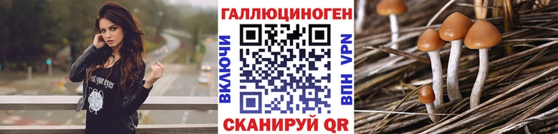 Галлюциногенные грибы мухоморы  Кисловодск 
